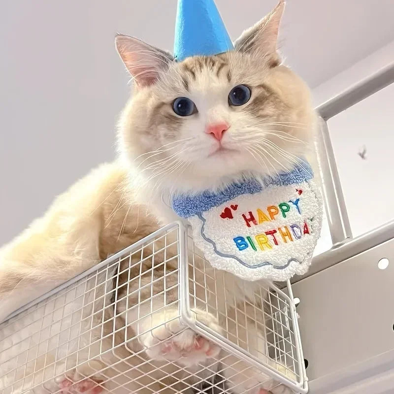 Cat Birthday Scarf Hat Set Dog Birthday Party Supplies Pet Scarf Cute Puppy Birthday Hat Scarf Decor for Small Medium Pets
